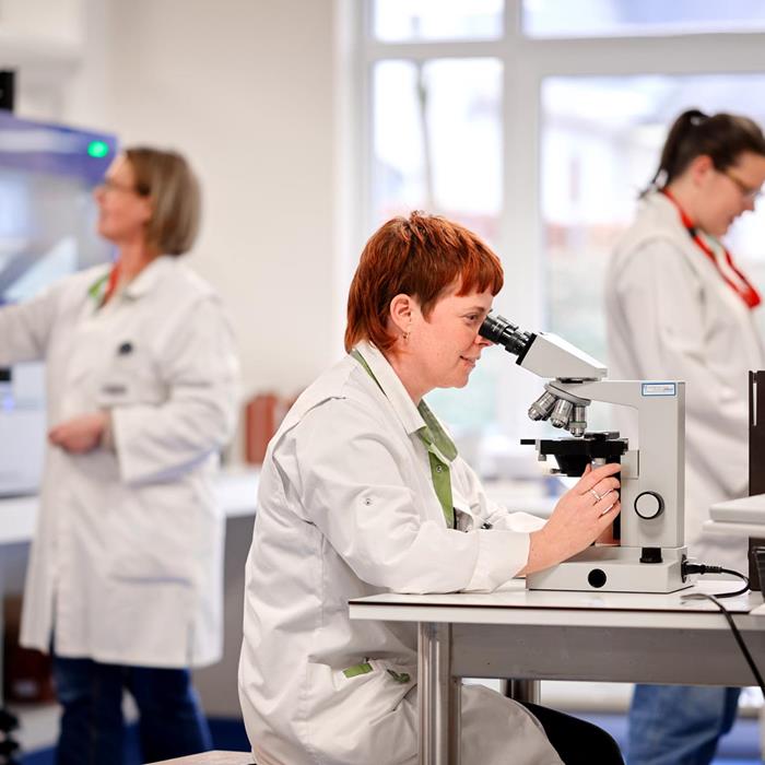 Unsere Mission - Das Netzwerk